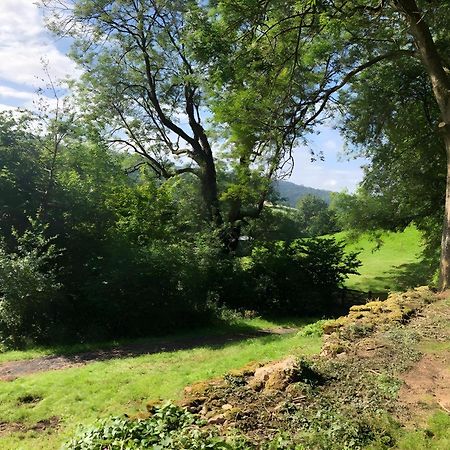 The Spring Slad Valley Cotswolds Painswick Εξωτερικό φωτογραφία