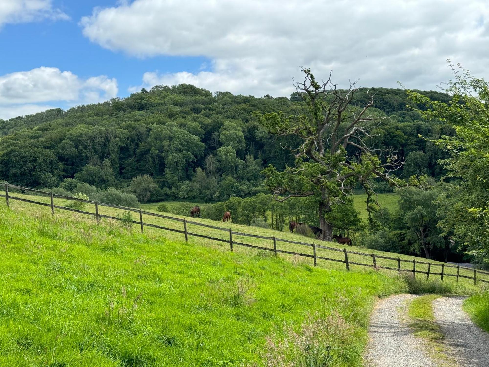The Spring Slad Valley Cotswolds Painswick Εξωτερικό φωτογραφία